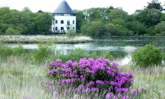 Llyn Llech Owain Country Park